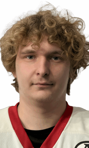 Ляпин Дмитрий