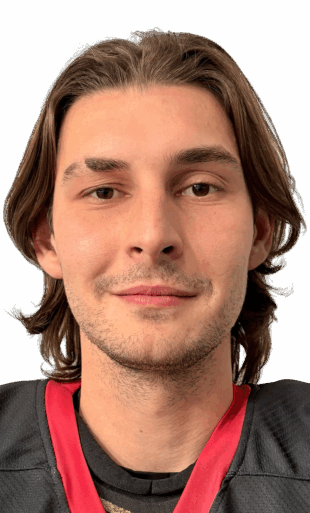 Генрихсон Владислав