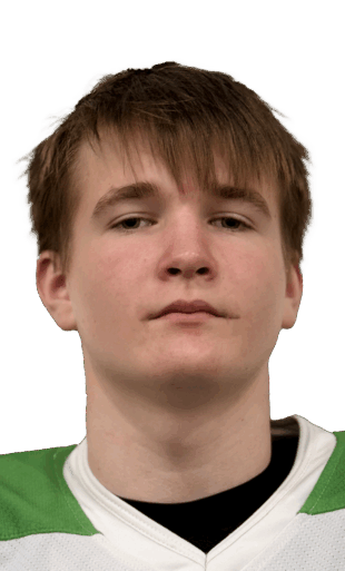 Туртанов Дмитрий