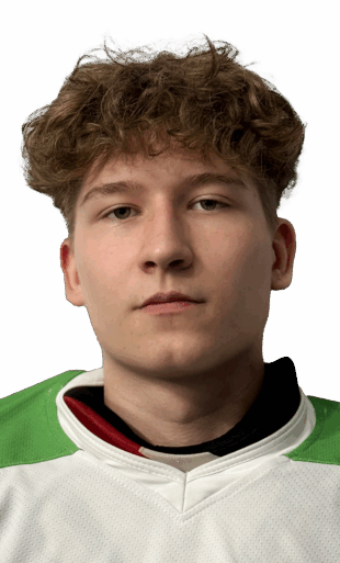 Соловьёв Ярослав