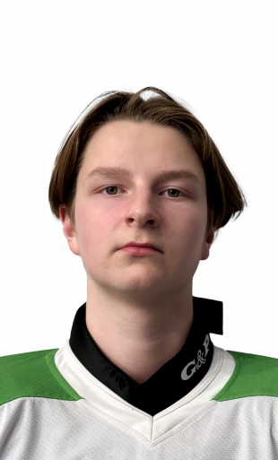 Виноградов Владислав