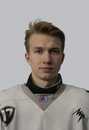 Городков Михаил